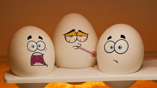 metodo per capire se le uova sono fresche